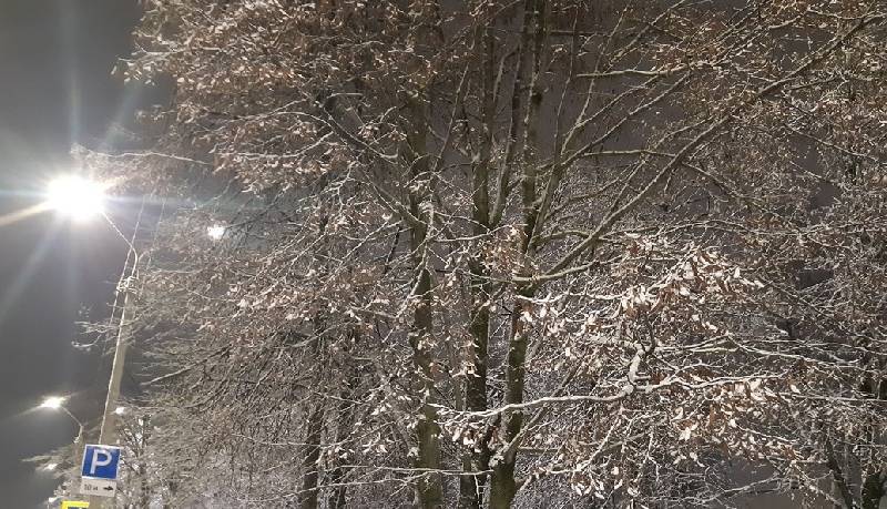 От снега до мороси: какая погода ожидается завтра в Смоленской области