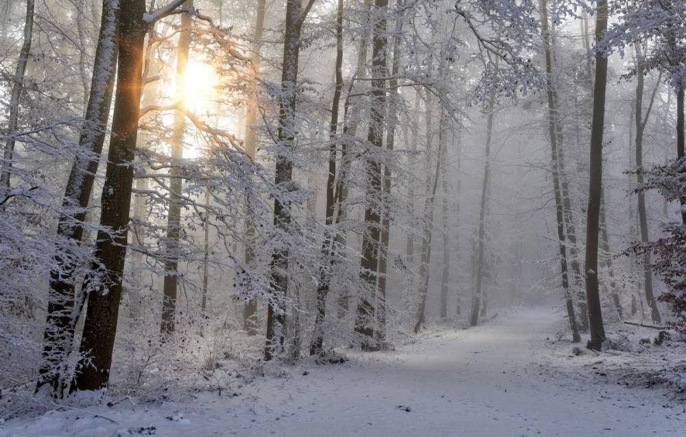 Мокрый снег и до -4°С ожидается в Беларуси 2 января