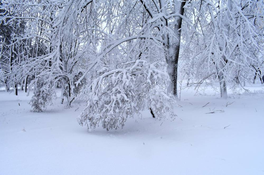 Украину продолжит засыпать снегом в последние дни января: спасатели предупредили об опасности