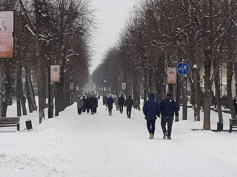 В последний день января в Смоленской области ожидается легкий мороз
