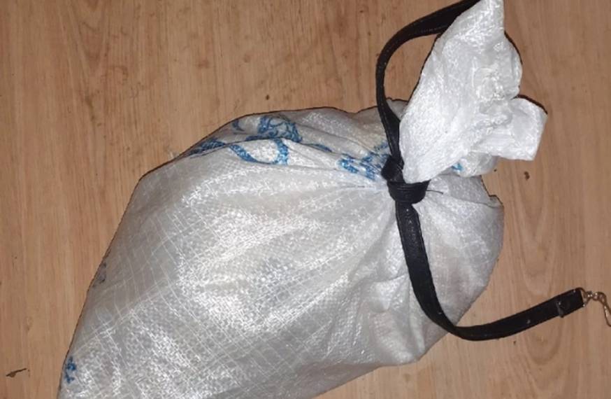 В Башкирии трех кошек положили в мешок и выбросили в мусорный бак