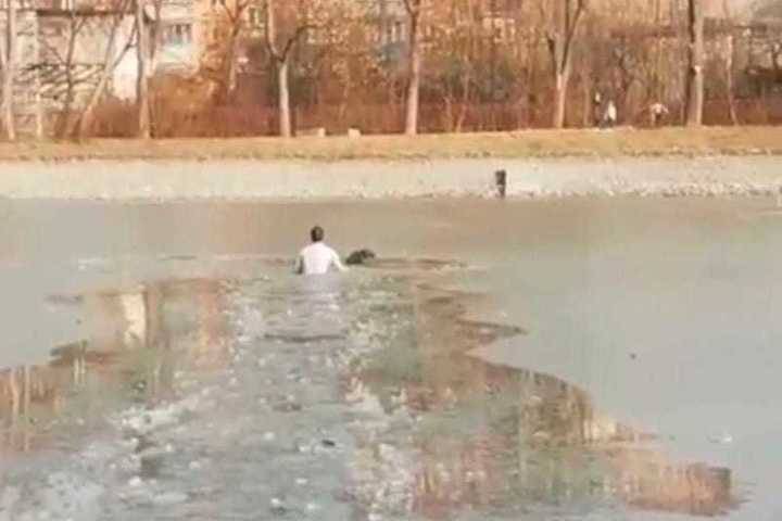 Житель Северной Осетии спас провалившуюся под лед собаку