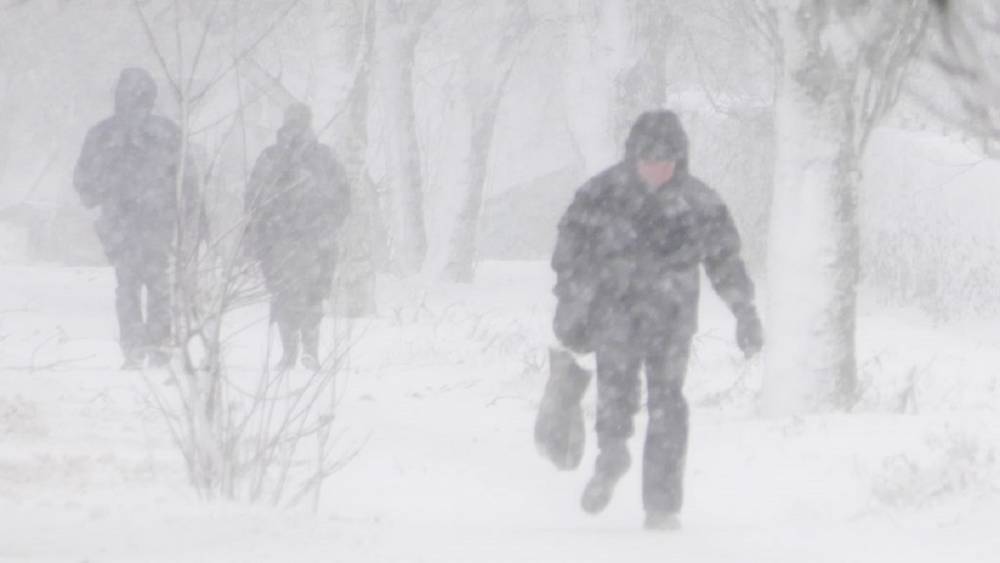 Погода в Украине резко испортится, февраль ударит мощным циклоном: «Снегопады, штормовой ветер и…»
