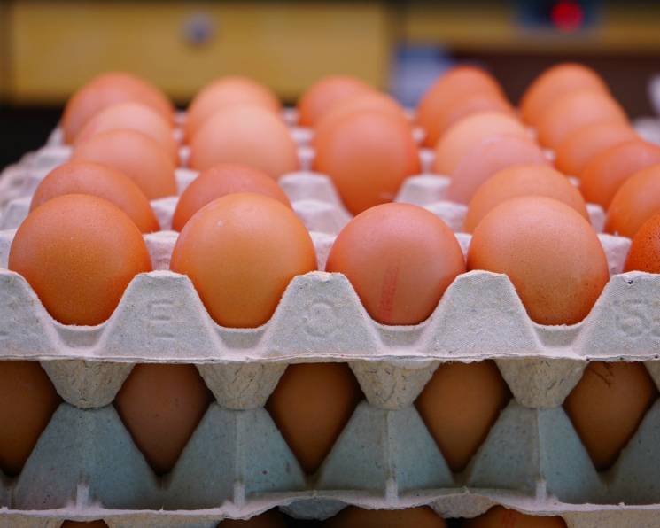 Цены на яйца в Украине стремительно растут: названа причина