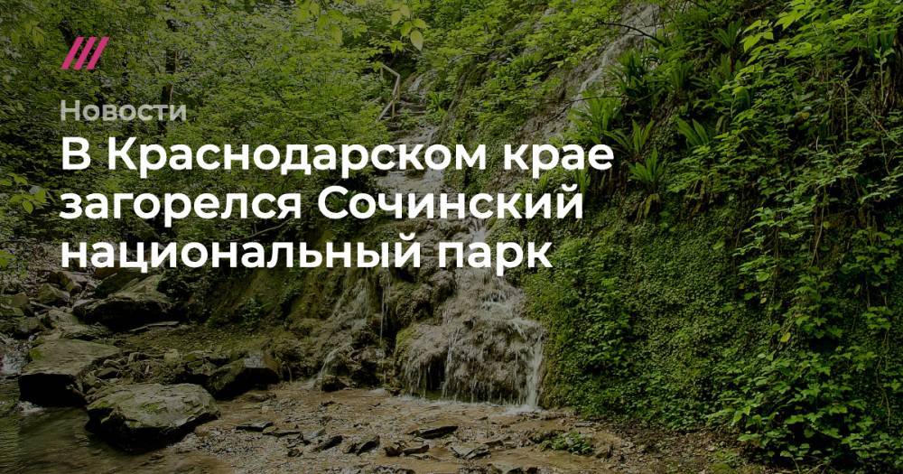 В Краснодарском крае загорелся Сочинский национальный парк