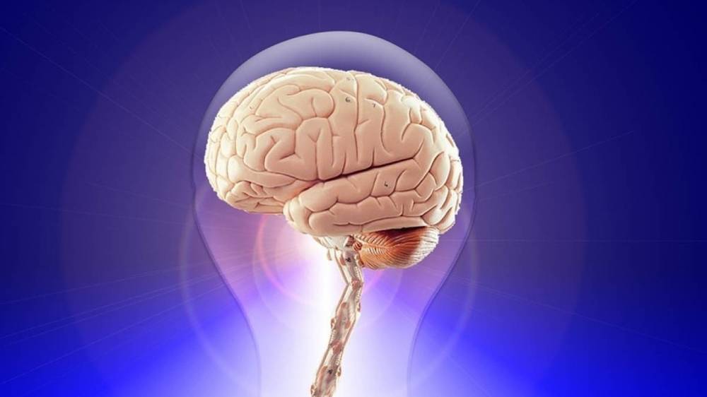 Исследователи нашли главное отличие мужского мозга от женского