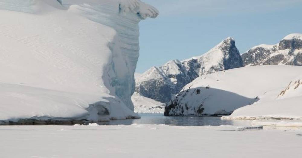 У станции "Академик Вернадский" откололся 20-метровый ледник