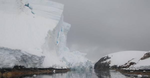 &quot;Такого еще не бывало&quot;! В Антарктиде откололся край ледника высотой в семиэтажный дом