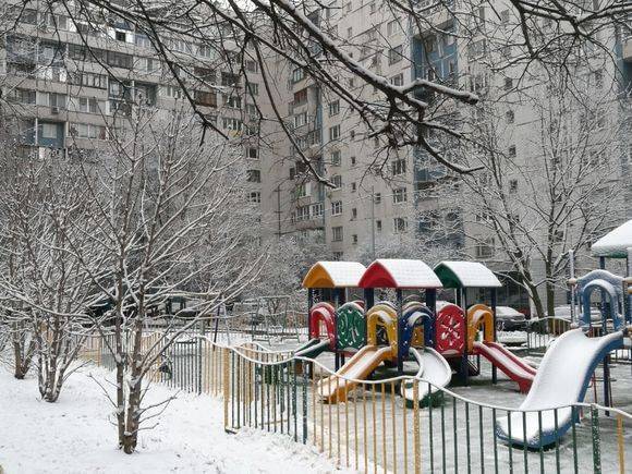 В Москве будет морозно, пройдет снег
