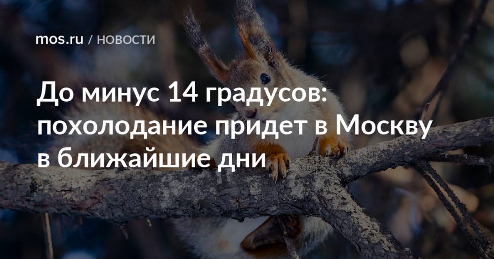 До минус 14 градусов: похолодание придет в Москву в ближайшие дни