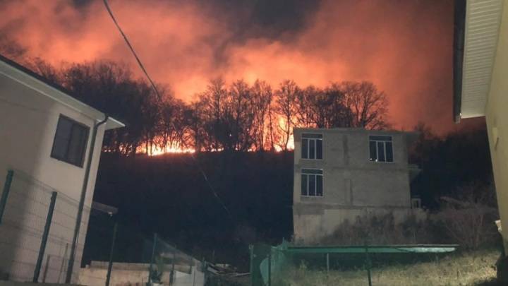Лесной пожар подобрался к аэропорту Сочи. Видео