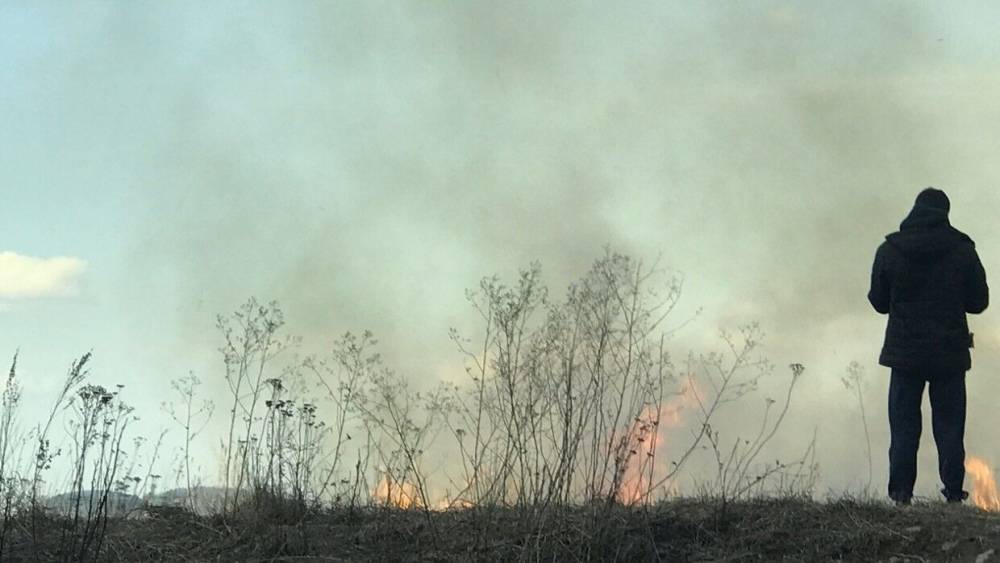 Природный пожар разгорелся около аэропорта в Сочи