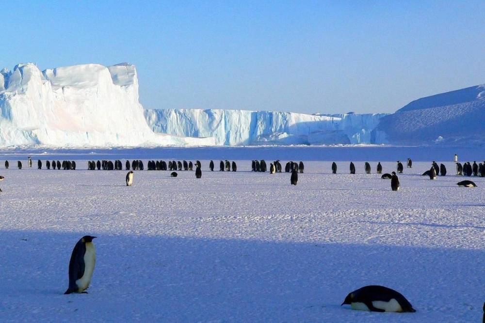 Над Антарктидой закрылась рекордно большая озоновая дыра
