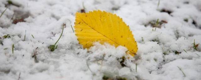 Синоптики предупредили жителей Башкирии о дожде со снегом в ближайшие дни