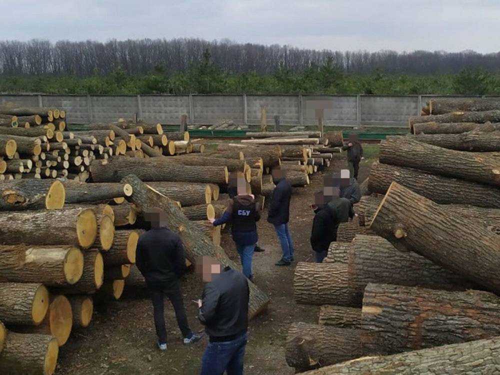 С начала года в Украине осудили более 40 организаторов нелегальной продажи леса – СБУ