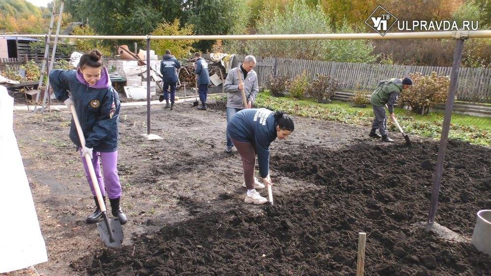 Мы вместе. Как ульяновская молодежь помогает бабушкам и дедушкам