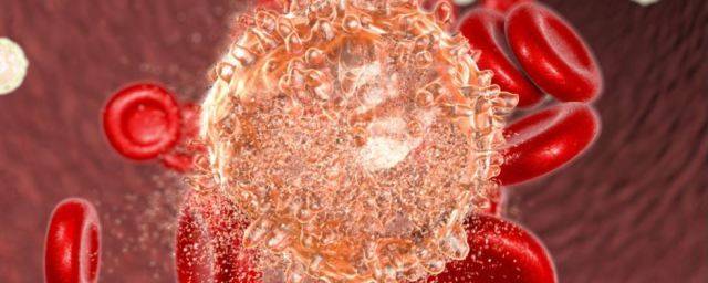 Кинетику опухолевых клеток начали изучать путем обмена кровью между мышами