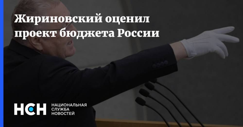 Жириновский оценил проект бюджета России