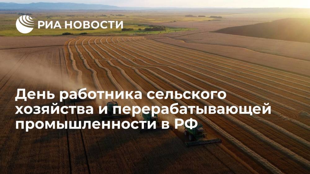 День работника сельского хозяйства и перерабатывающей промышленности в РФ