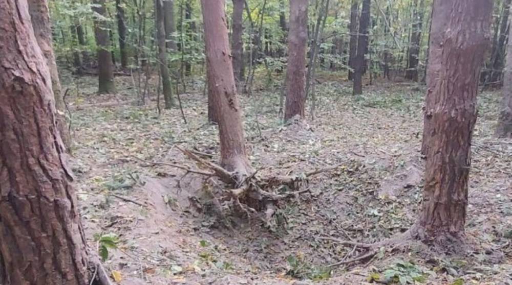 В Черновицкой области мужчина подорвался на старом снаряде