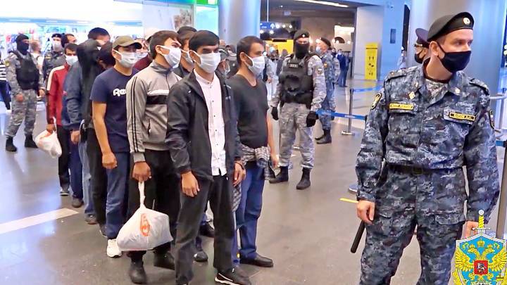 Полиция задержала мигранта, который сбежал из аэропорта Внуково перед депортацией