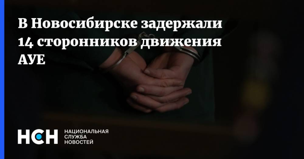 В Новосибирске задержали 14 сторонников движения АУЕ