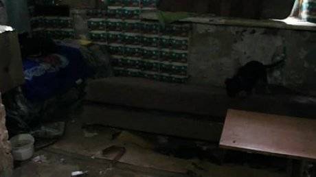 Пропавшего мальчика нашли спящим с бездомной собакой в подвале