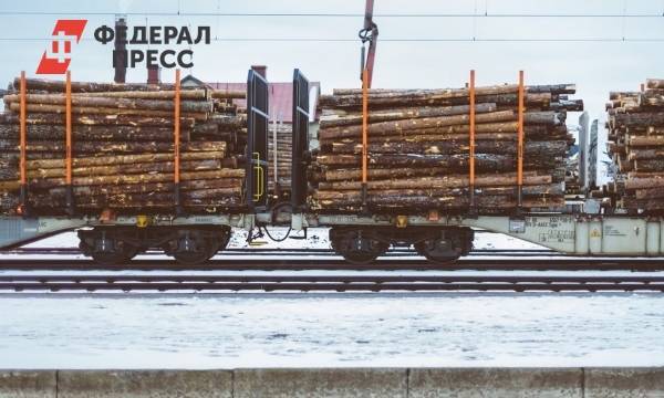 В Томске контрабандисты предстанут перед судом за продажу леса почти на 500 миллионов