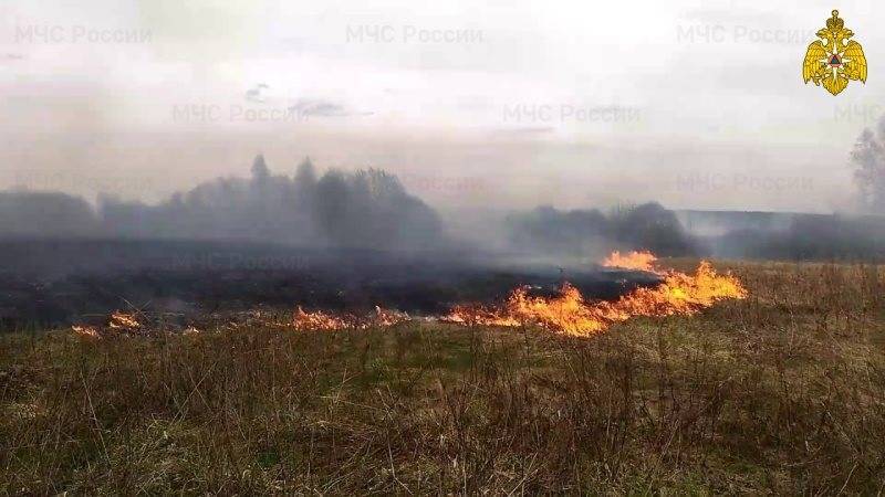 В шести районах области горела сухая трава