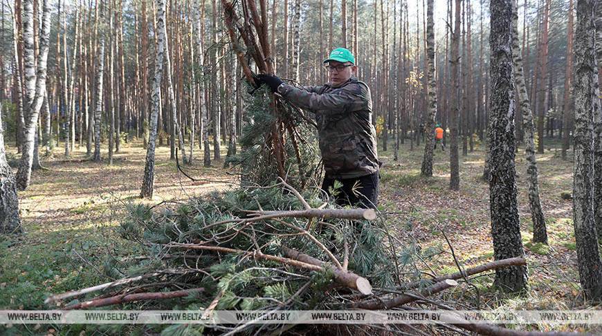 Акция "Чистый лес" собрала в Минской области более 8 тыс. участников