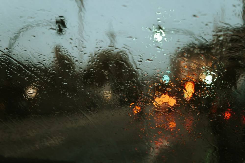 11 октября в Ленобласти ожидаются дожди
