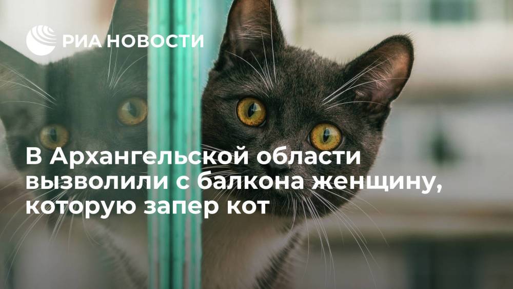 Спасатели в Архангельской области вызволили с балкона женщину, которую запер кот