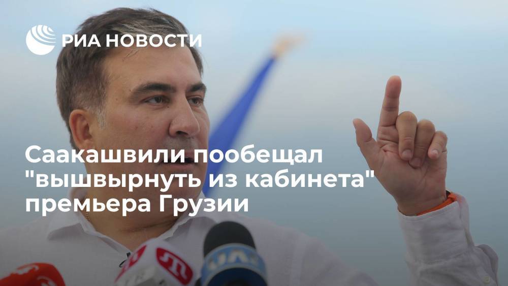 Саакашвили пообещал "вышвырнуть из кабинета" премьера Грузии вместе с кабмином