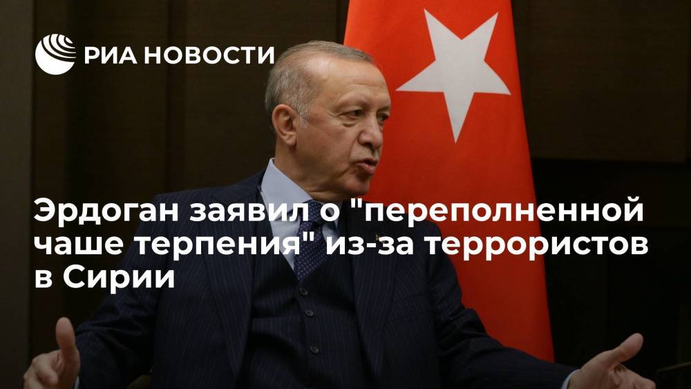 Эрдоган заявил, что Турция самостоятельно ликвидирует террористическую угрозу в Сирии
