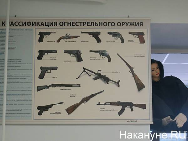 Полицию и ФСБ могут подключить к проверке желающих получить лицензию на оружие