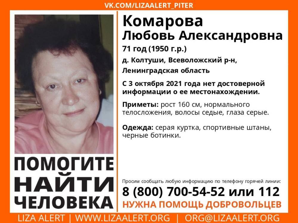 В Колтушах без вести пропала 71-летняя женщина
