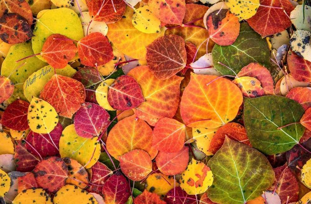 Осень во всей красе: синоптики рассказали, как изменится погода в Луганской области