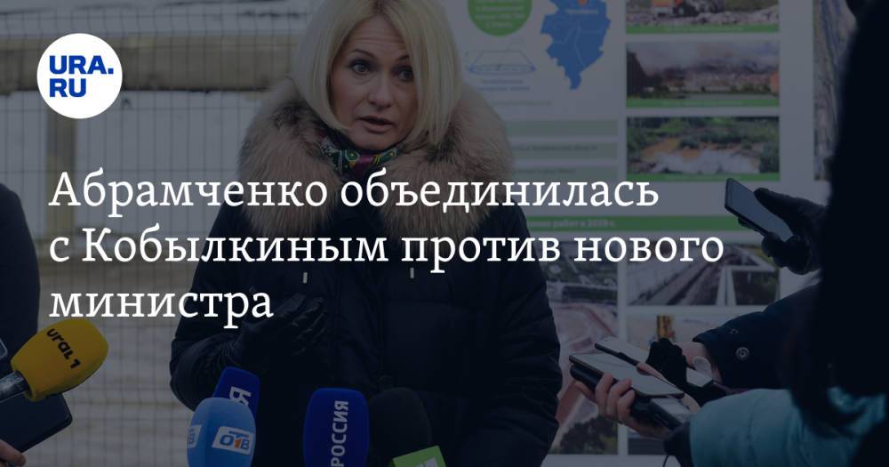 Абрамченко объединилась с Кобылкиным против нового министра