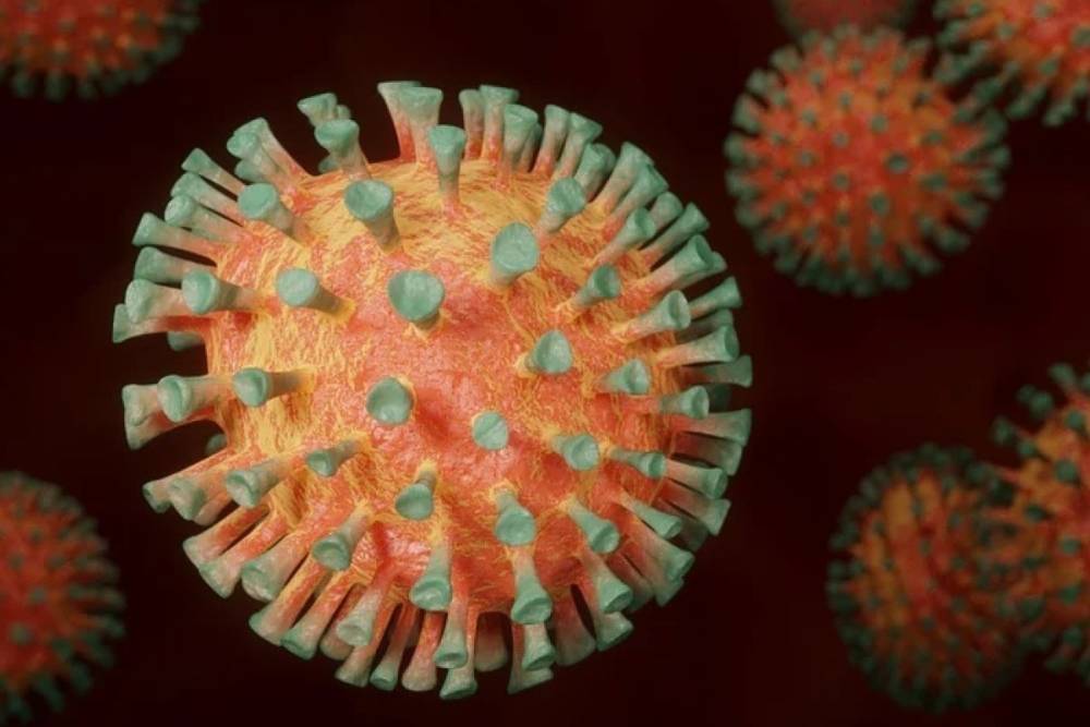 ВОЗ: число случаев коронавируса в мире приближается к 238 млн
