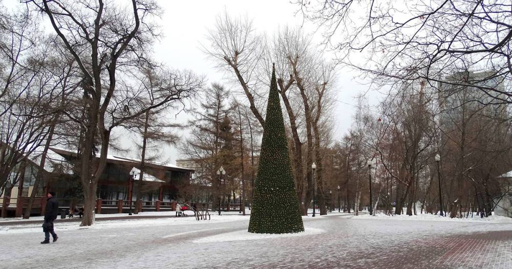Метеоролог рассказал о потеплевшей московской зиме