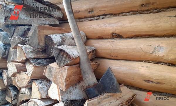 Свыше сотни домов в Омской области остались без дров