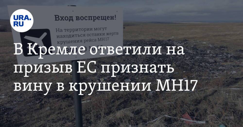 В Кремле ответили на призыв ЕС признать вину в крушении МН17