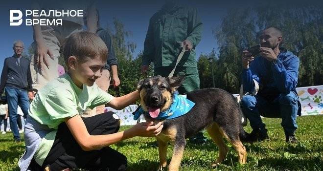В двух сельских поселениях Татарстана отменили карантин по бешенству животных