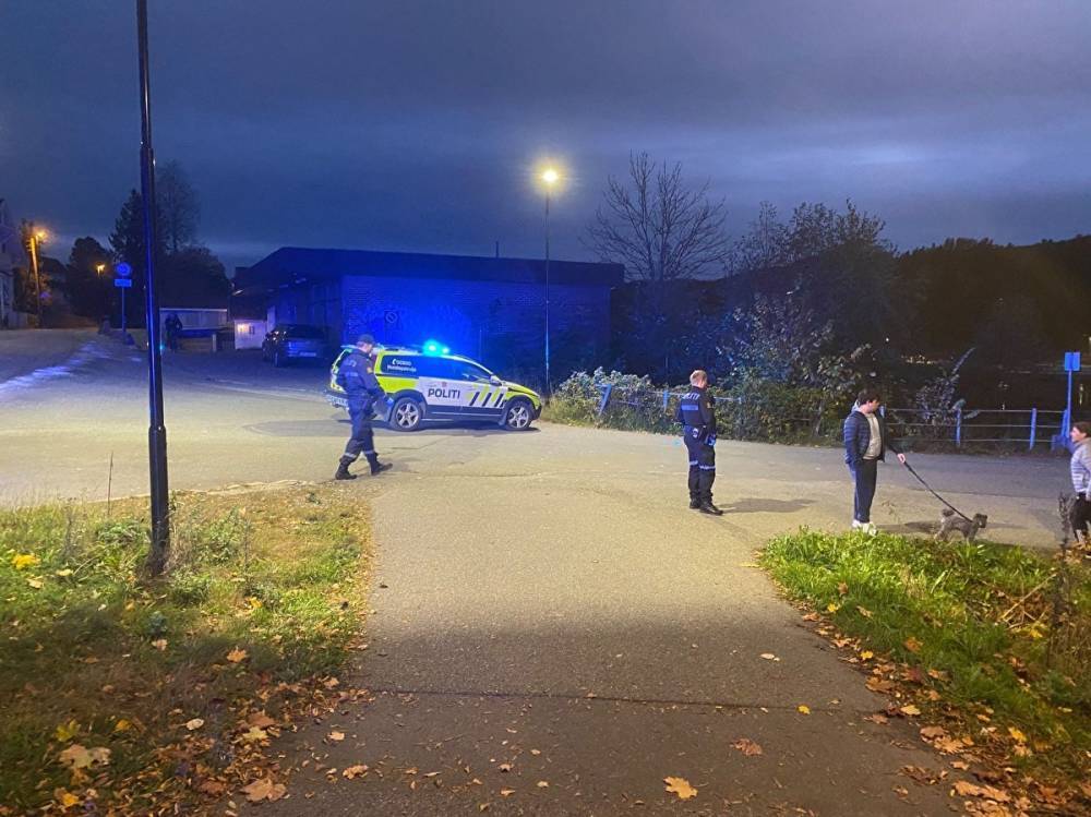 В Норвегии мужчина из лука убил несколько человек. Полиция не исключает терроризм