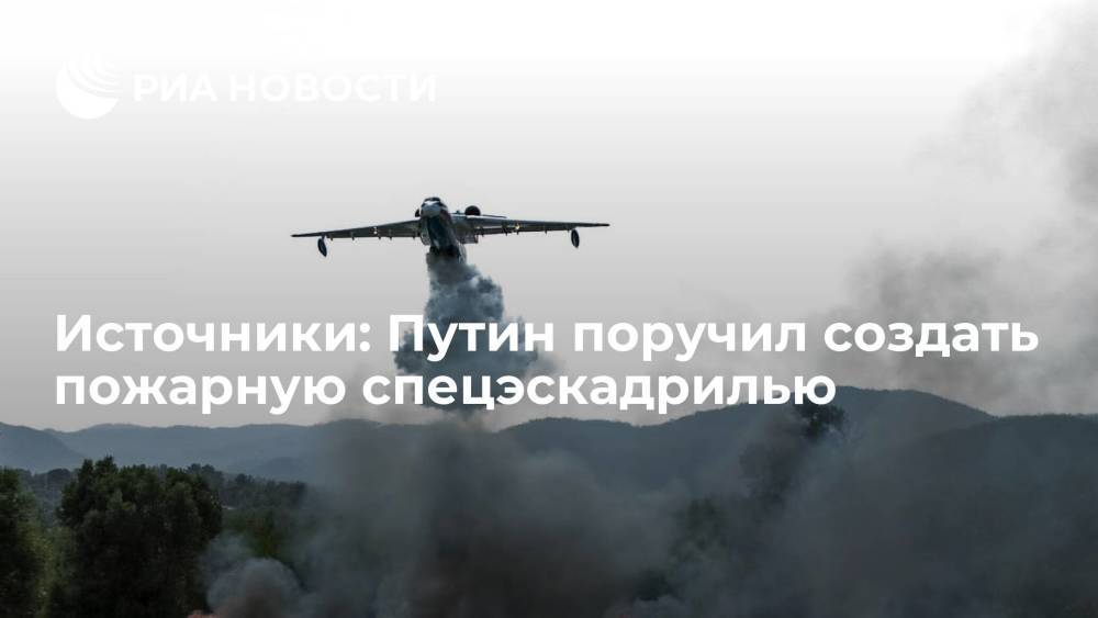 Источники: Путин поручил создать пожарную спецэскадрилью из 22 самолетов и вертолетов