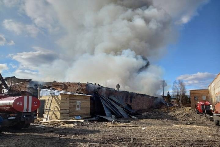 Крупный пожар произошел на лесоперерабатывающем предприятии в Томской области