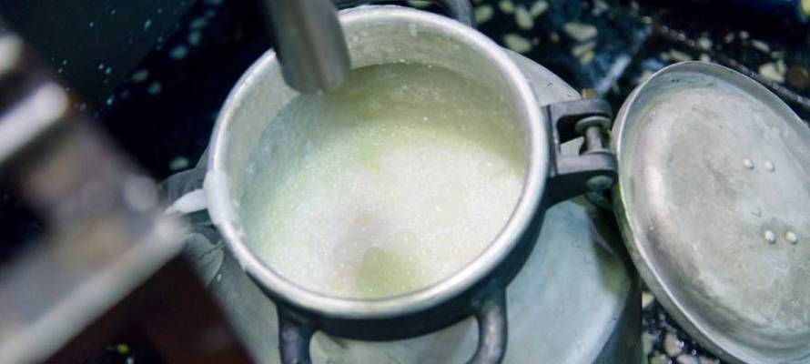 Поставщики молока на молокозаводы в Карелии продолжат повышать цены несмотря на конфликт