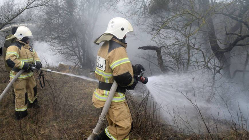 Путин наградил пятерых жителей Якутии за помощь при тушении лесных пожаров
