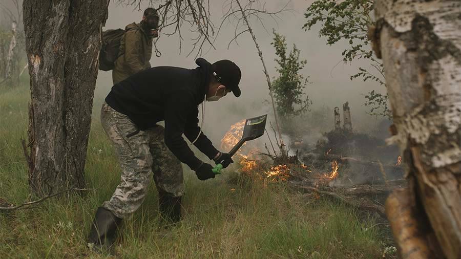 Путин наградил жителей Якутии за помощь в тушении лесных пожаров
