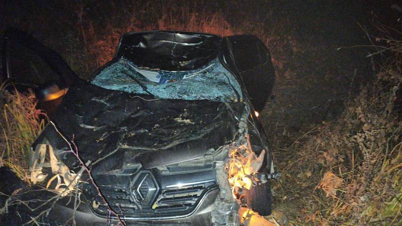 В Башкирии в столкновении с лосем погибли водитель и пассажир